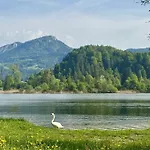 Seegut Steeg Am Hallstaettersee Bad Goisern