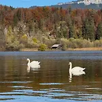 Tatil Evi Seegut Steeg Am Hallstaettersee