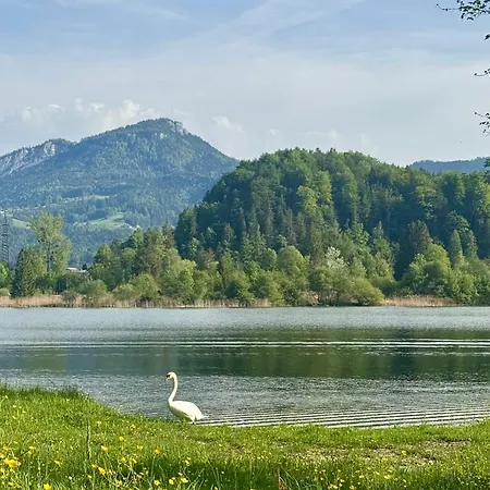 Seegut Steeg Am Hallstaettersee Bad Goisern