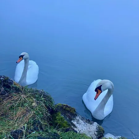 Seegut Steeg Am Hallstaettersee * Bad Goisern