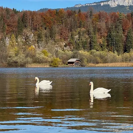 Prázdninový dům Seegut Steeg Am Hallstaettersee