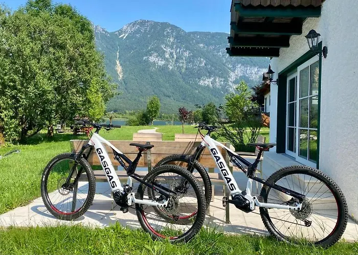 Σπίτι διακοπών Seegut Steeg Am Hallstaettersee *