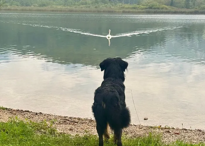 Nyaraló Seegut Steeg Am Hallstaettersee *