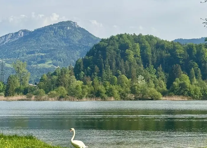 Seegut Steeg Am Hallstaettersee Bad Goisern
