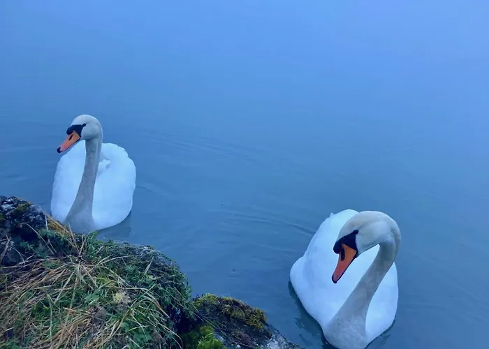 Seegut Steeg Am Hallstaettersee * Bad Goisern