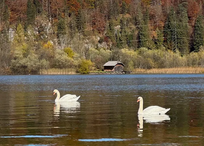 Σπίτι διακοπών Seegut Steeg Am Hallstaettersee