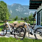 Holiday home Seegut Steeg Am Hallstaettersee *
