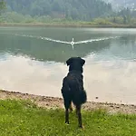 Holiday home Seegut Steeg Am Hallstaettersee *