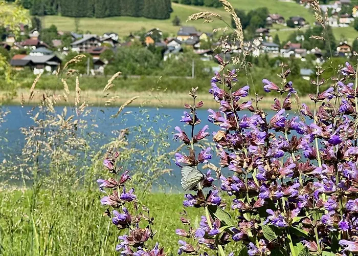 بيت للعطل Seegut Steeg Am Hallstaettersee *